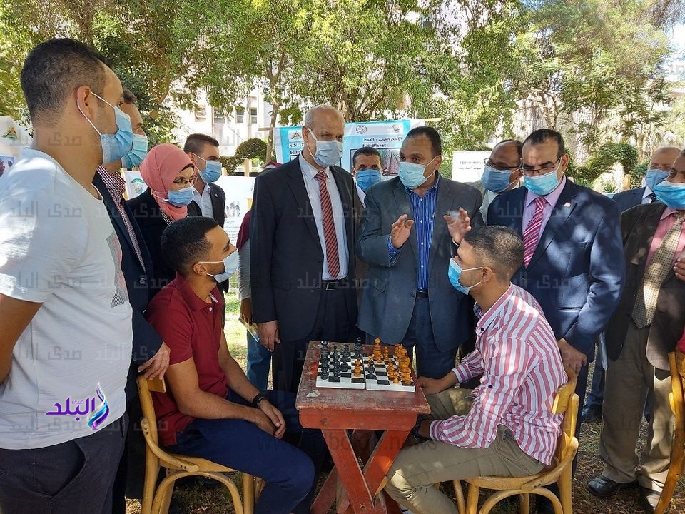 جامعة بنها