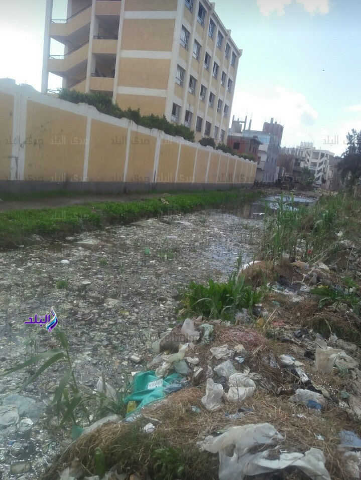 القمامة تحاصر المدرسة 