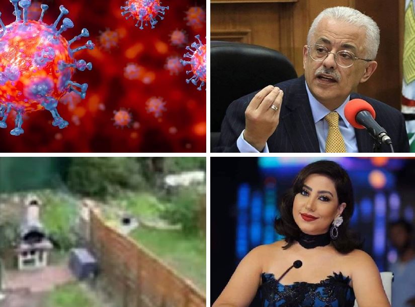 اخبار التوك شو 
