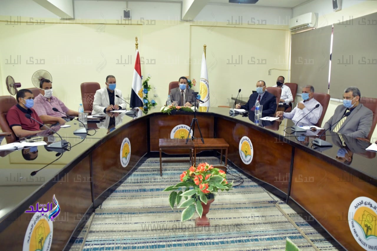 جامعة الوادي الجديد