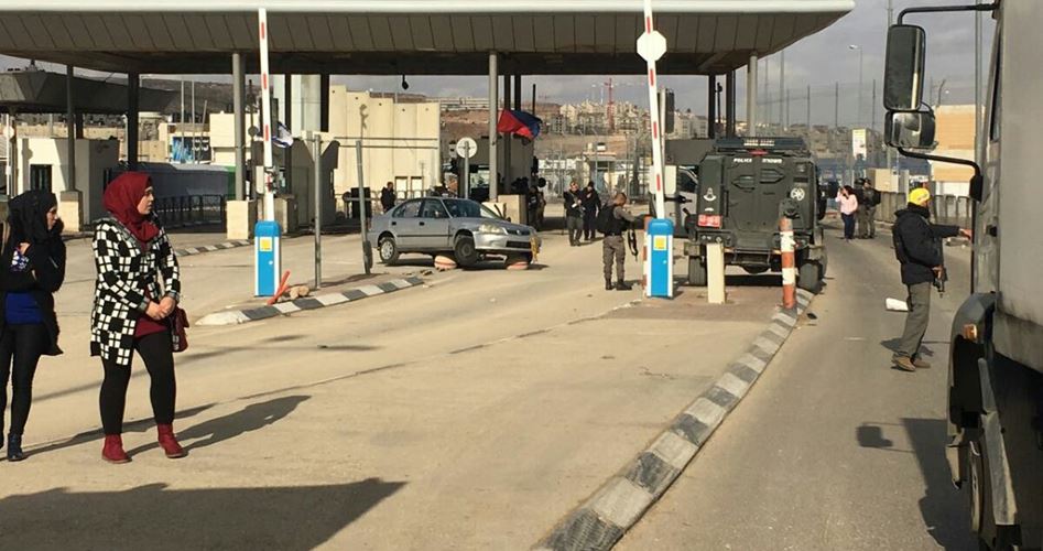 صورة من الحدث صورة من الحدث