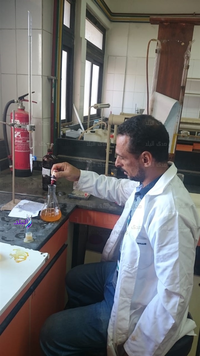 صورة توضيحية 