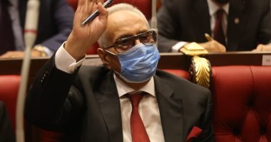  المستشار بهاء الدين أبو شقه وكيل مجلس الشيوخ