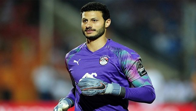 محمد الشناوى 