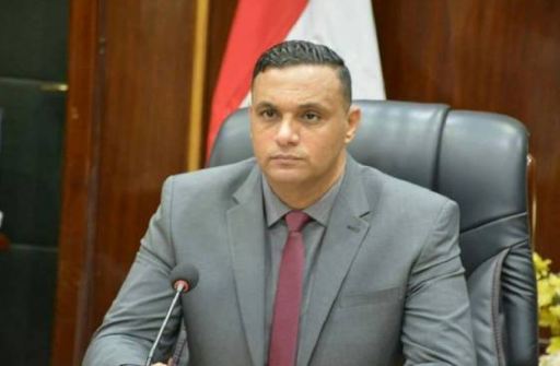 محافظ الدقهلية 