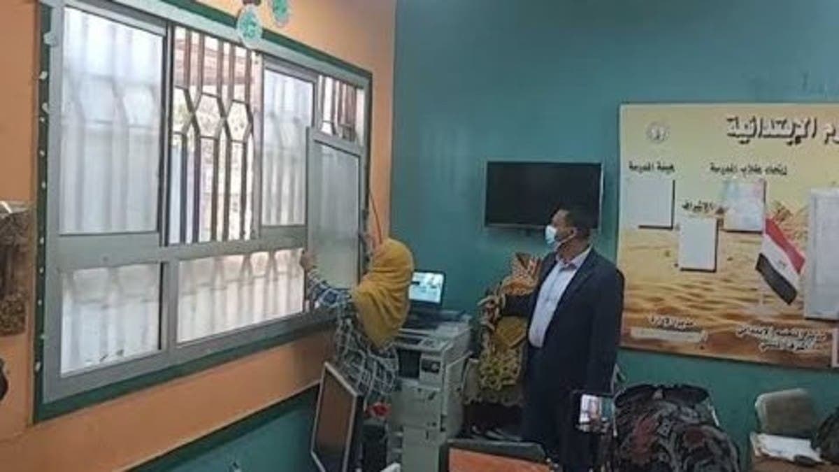 محافط الدقهلية