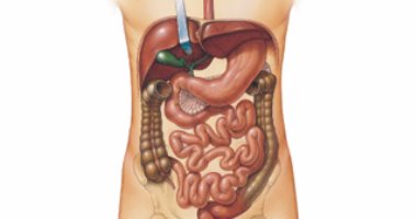 عسر الهضم الأعراض وأهم النصائح للوقاية منه