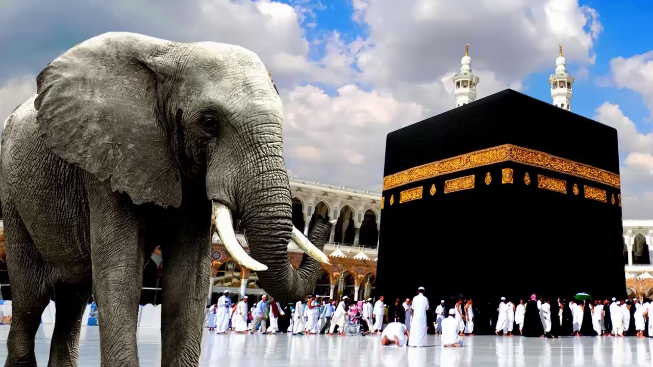 لماذا كان يصف النبي العبد بـ الحبشي