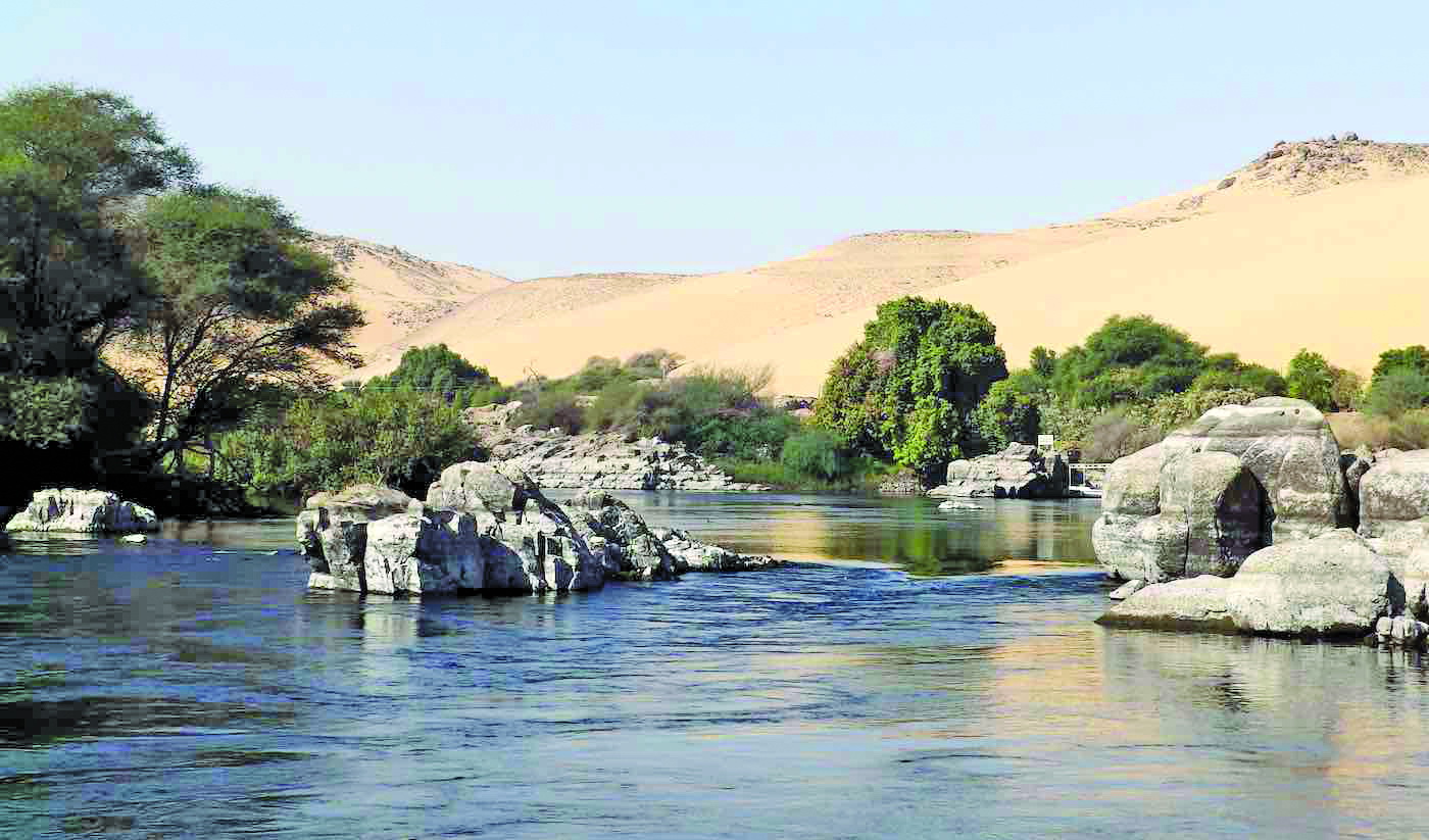 غابات الصحراء