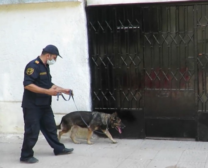 حملات مكافحة المخدرات