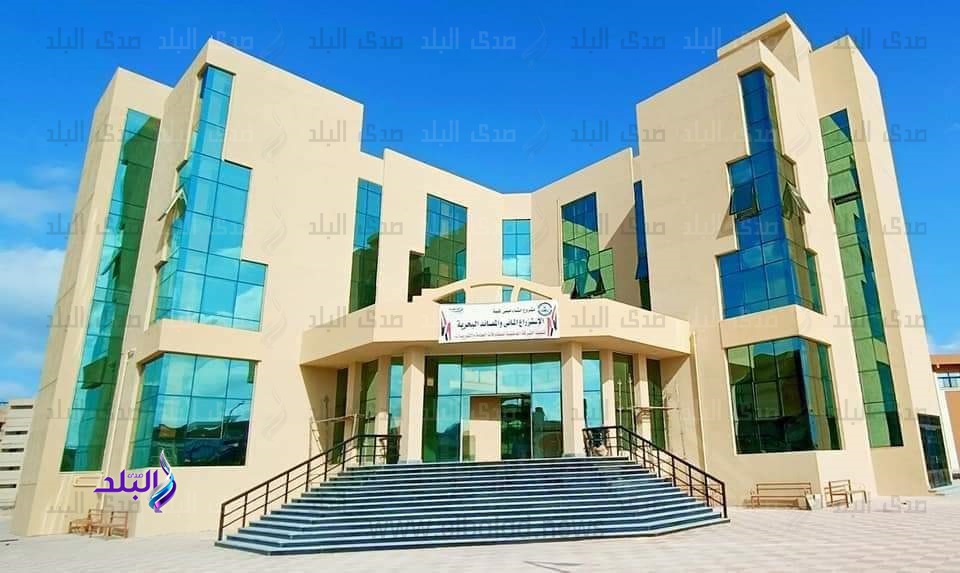 جامعة العريش 