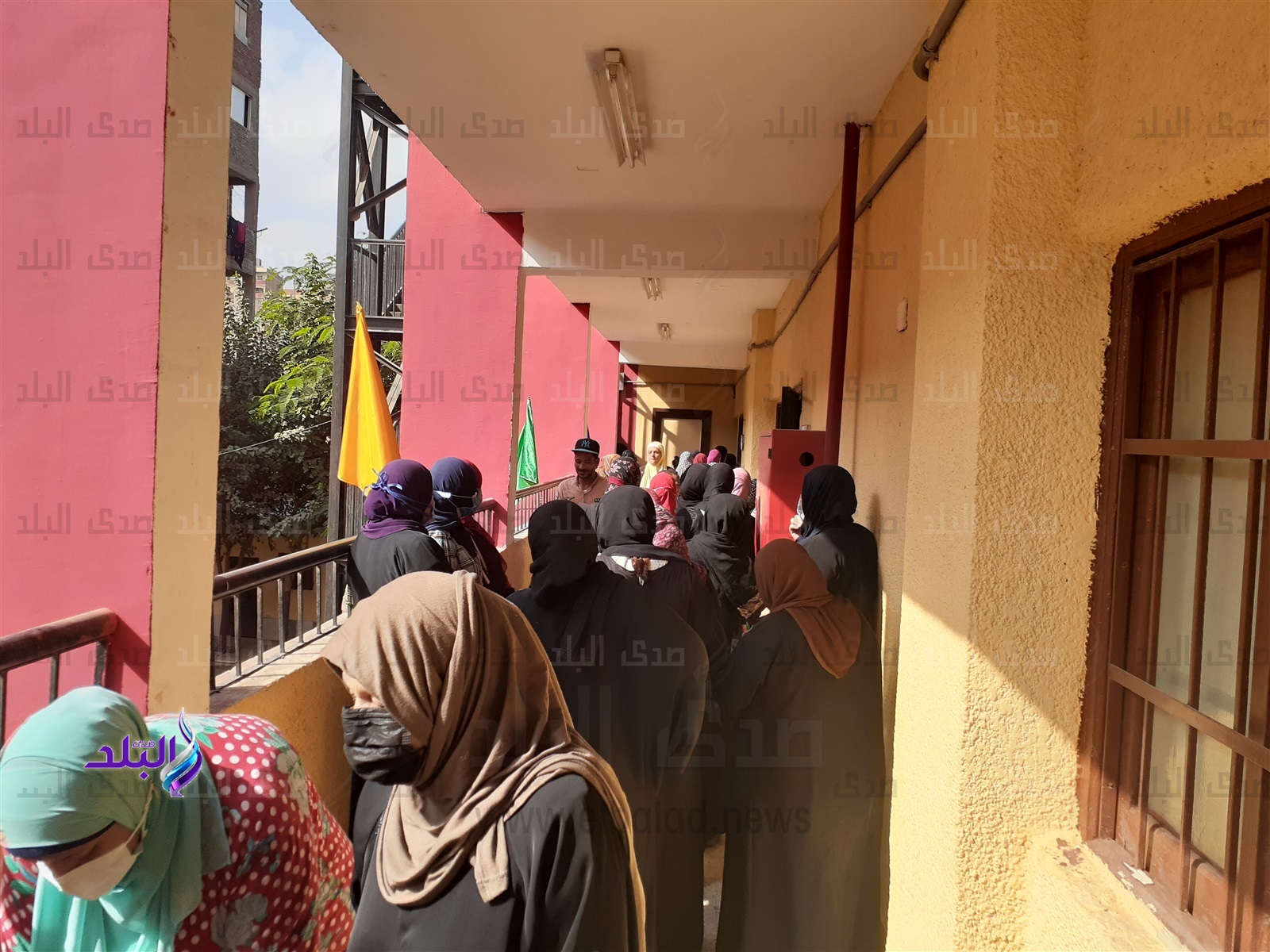 مشاركة الناخبين 