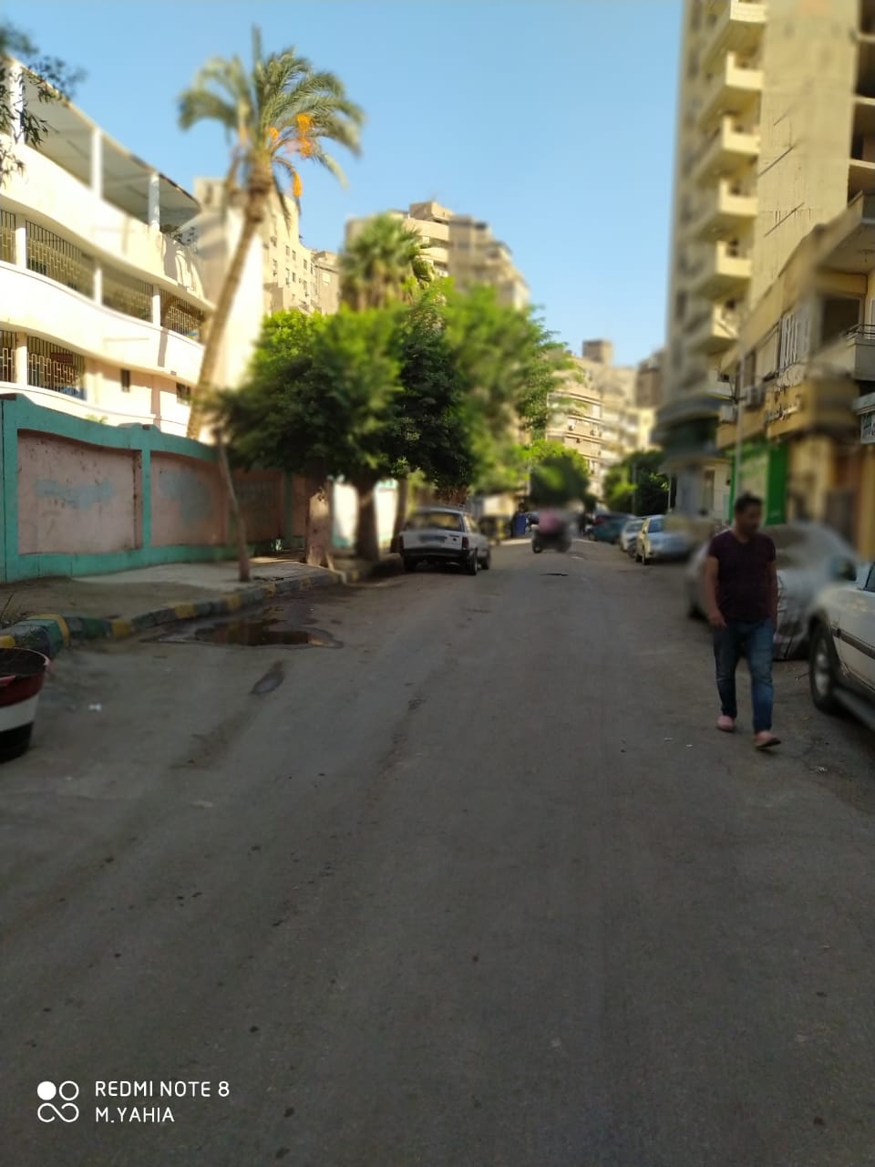 الانتخابات البرلمانية 