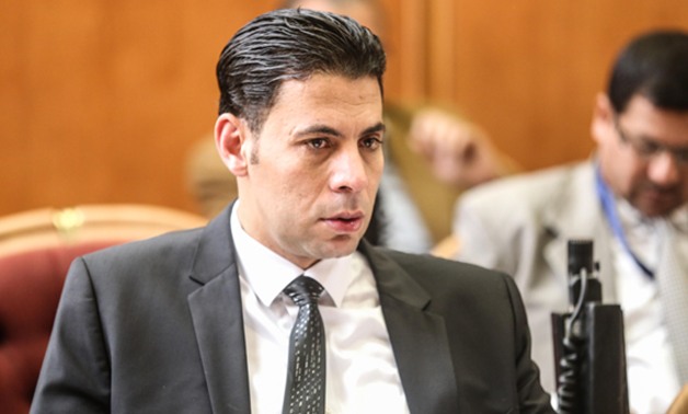 سعيد حساسين، عضو مجلس النواب