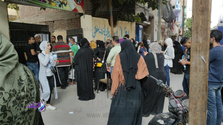 انتخابات مجلس النواب 2020 " صورة أرشيفية"