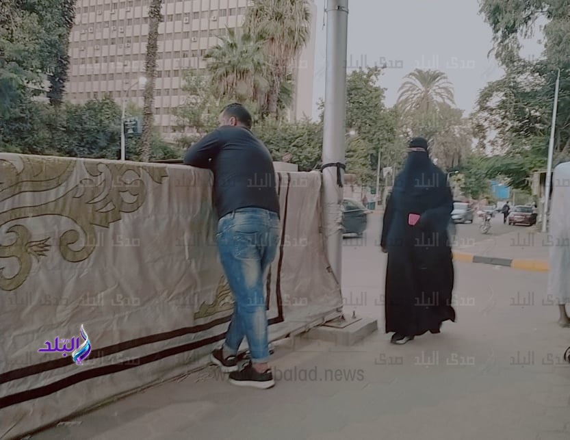  محيط لجنة بحوث النباتات بالدقي