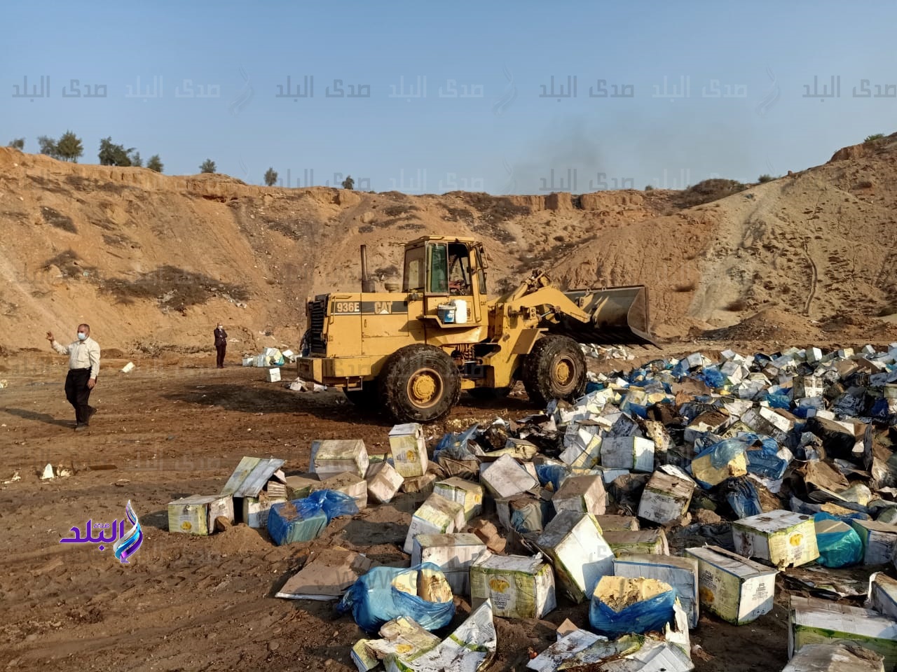 اعدام اغذية اسدة اعدام اغذية اسدة
