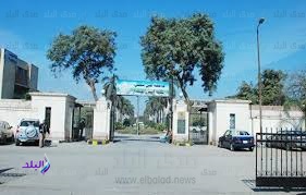 زراعة عين شمس 