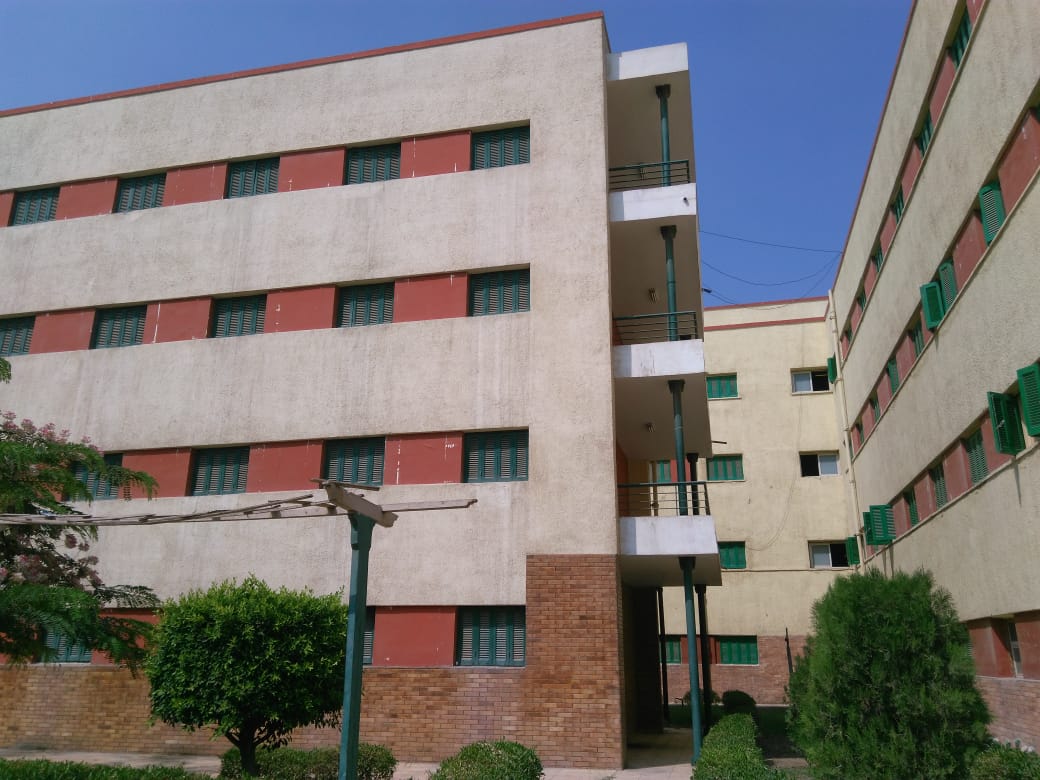 صورة أرشفية 