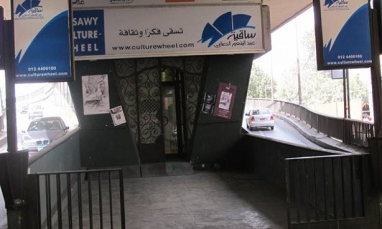 ساقية الصاوي