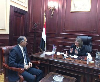 وكيلي النواب والشيوخ