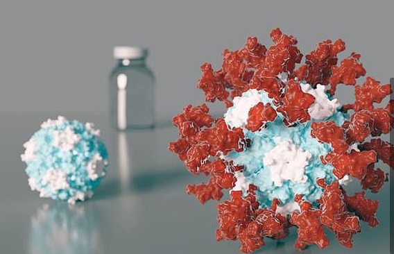 لقاح جديد لكورونا