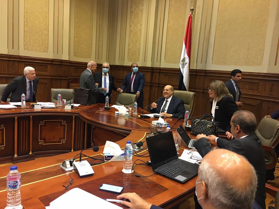   لجنة إعداد اللائحة الداخلية لمجلس الشيوخ
