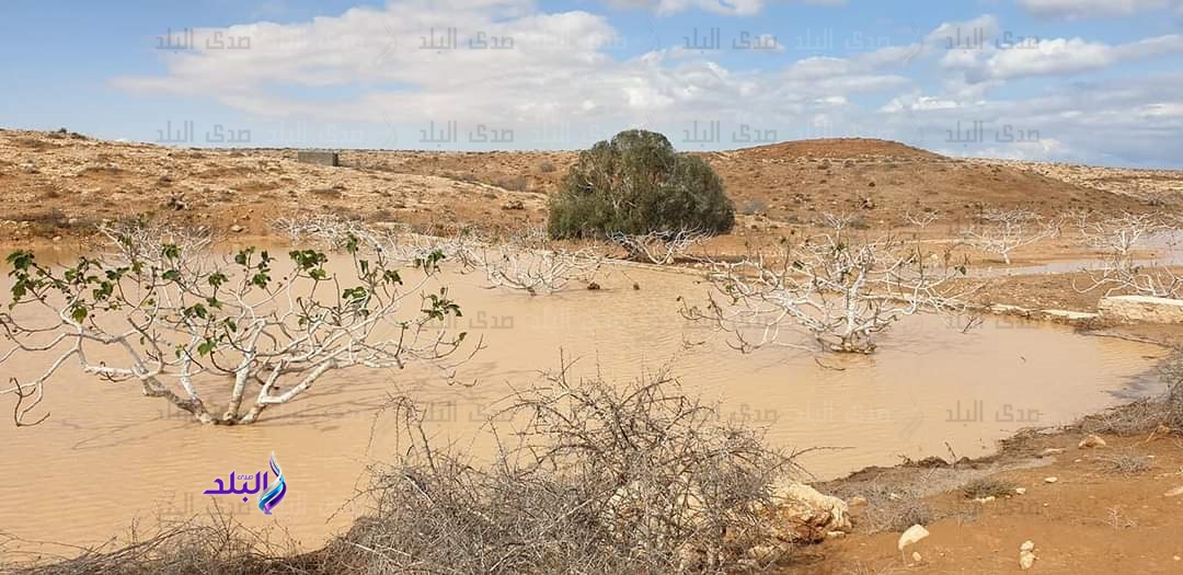 التوسع في انشاء الابار لتجميع مياه الامطار بمطروح