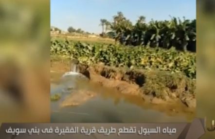 ارشيفية 