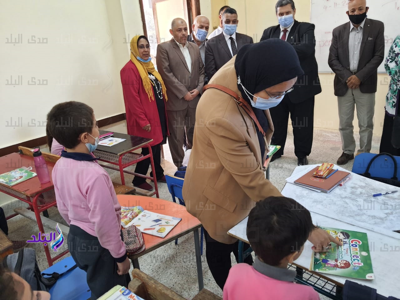حضانات سيناء 