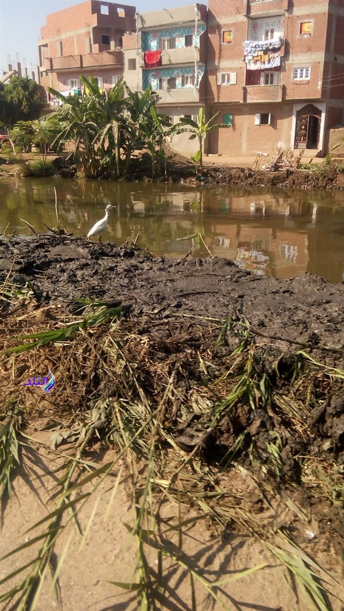 تطهير المساقي