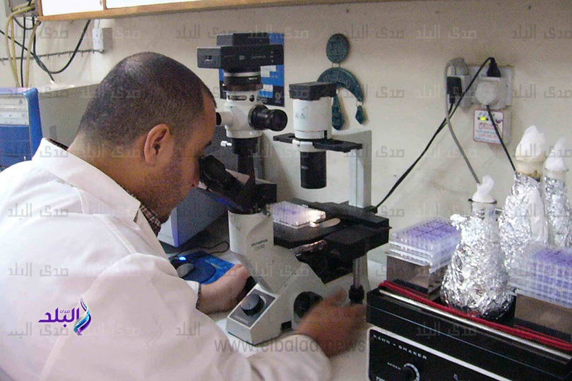 البحث العلمي