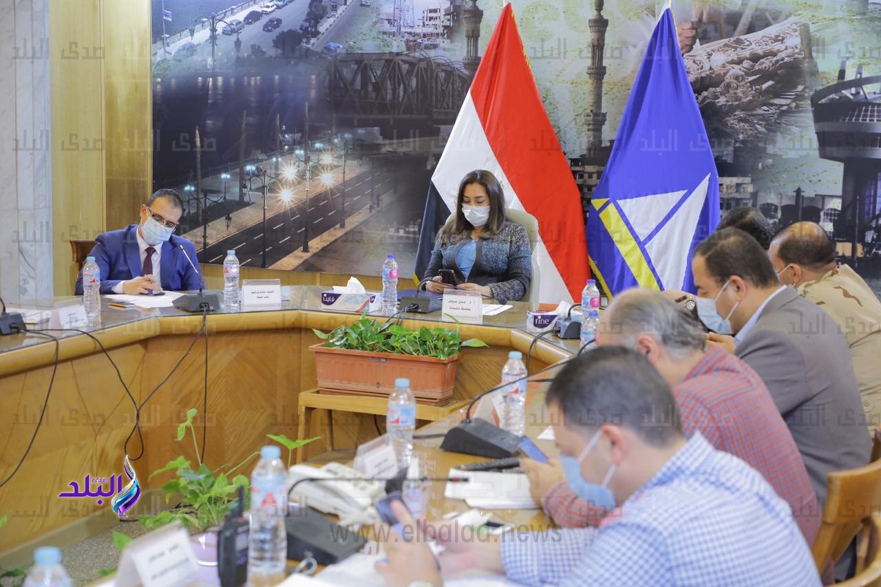 محافظ دمياط: تطبيق الاجراءات الاحترازية في التصويت باللجان