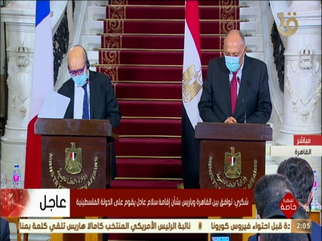 سامح شكري ونظيره الفرنسي  سامح شكري ونظيره الفرنسي