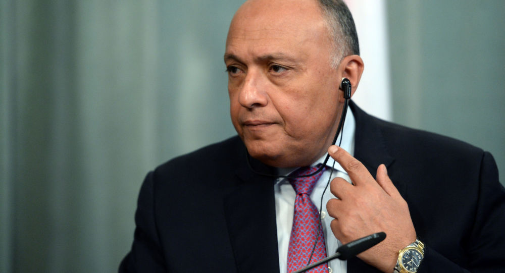 سامح شكري سامح شكري