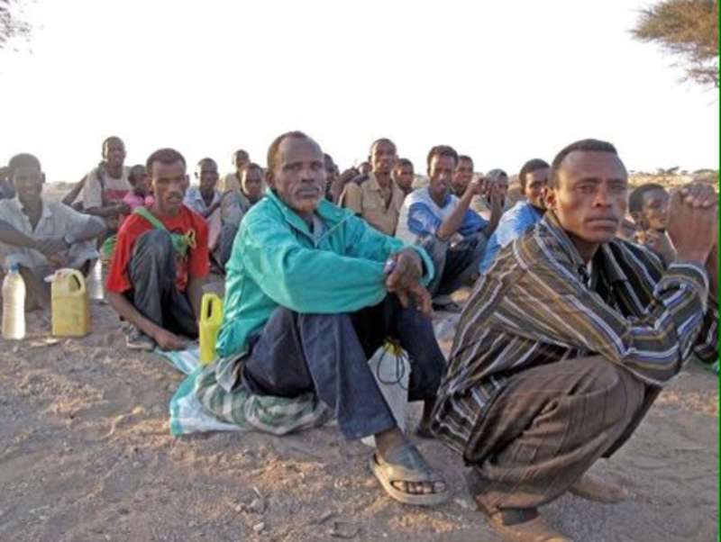 الإثيوبيين 