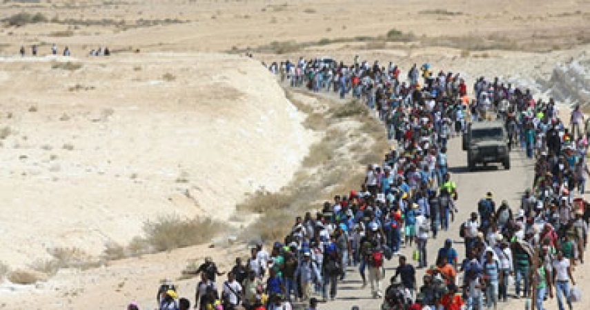 أرشيفية