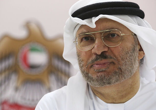 أنور قرقاش وزير الدولة الإماراتي للشئون الخارجية