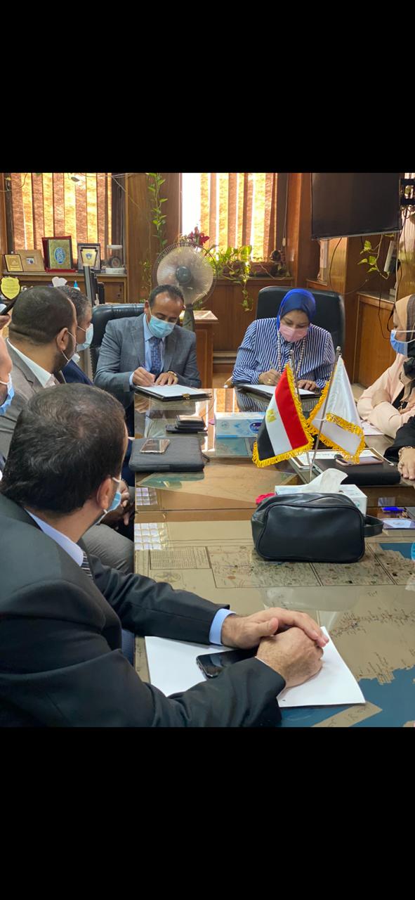 عقود بالمصرية لنقل الكهرباء
