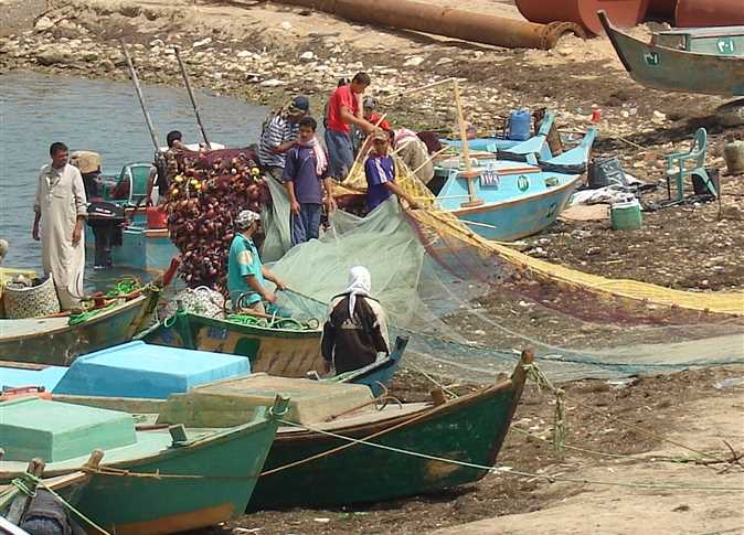 بحيرة البرداويل