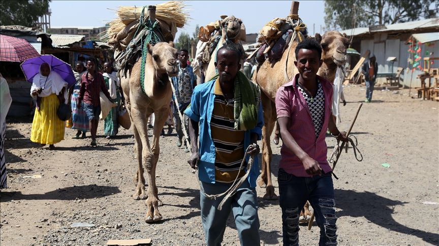 الحرب فى أثيوبيا