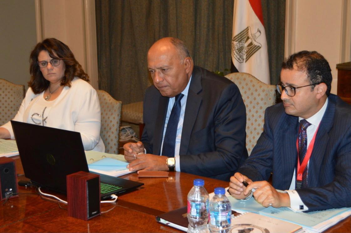 وزير الخارجية سامح شكري