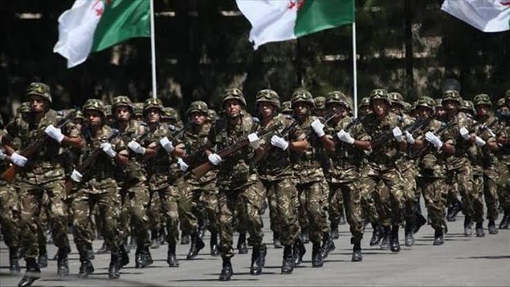 الجيش الجزائري 