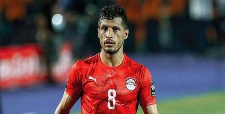 طارق حامد