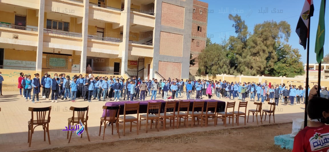 مدارس المنيا