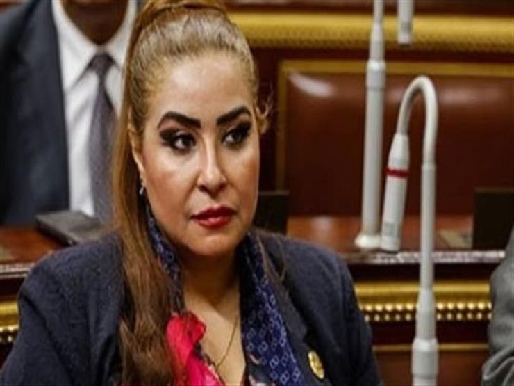  النائبة غادة عجمي ، عضو لجنة العلاقات الخارجية بمجلس النواب