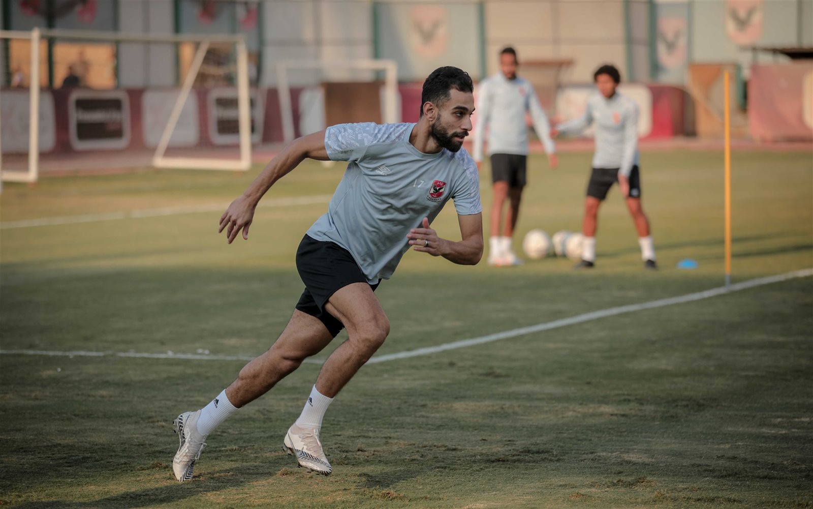 عمرو السولية