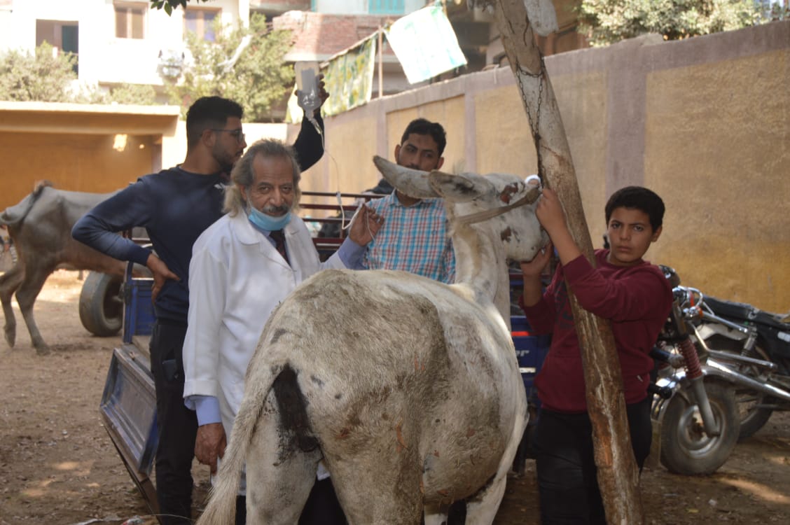  فعاليات القافلة الإرشادية 