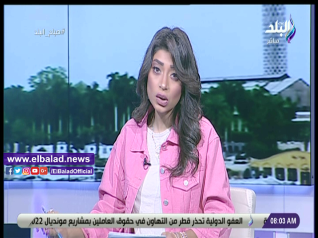الإعلامية لميس سلامة