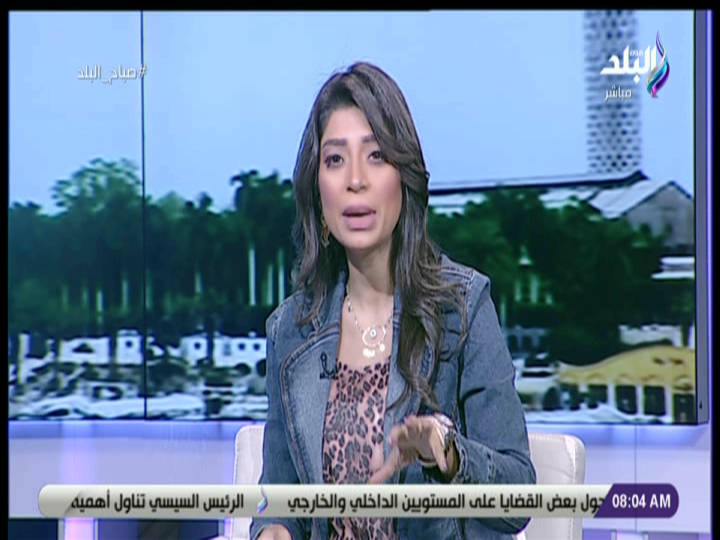 الإعلامية لميس سلامة